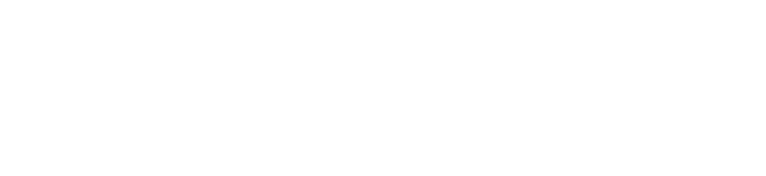 Logo of Flite the official partner of eFoil Riders