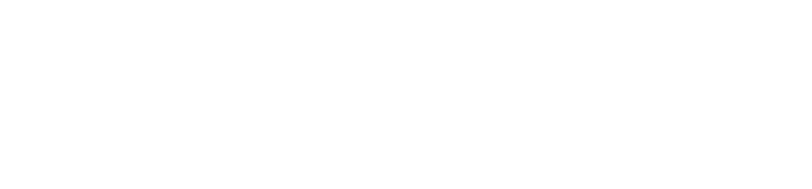Logo of Seabob the official partner of eFoil Riders