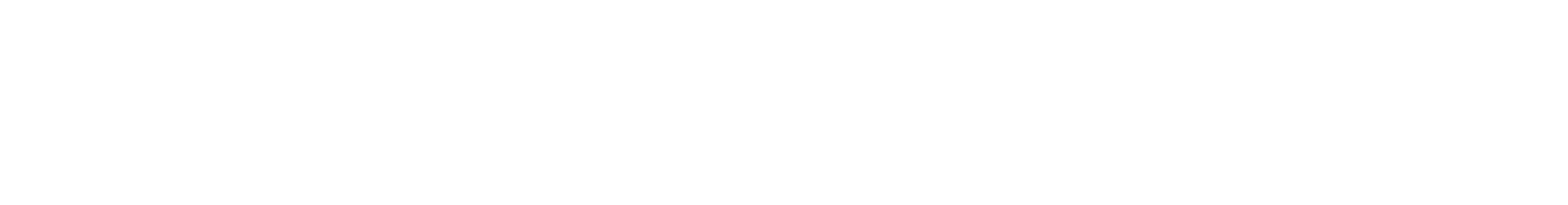 Logo of SiFly the official partner of eFoil Riders