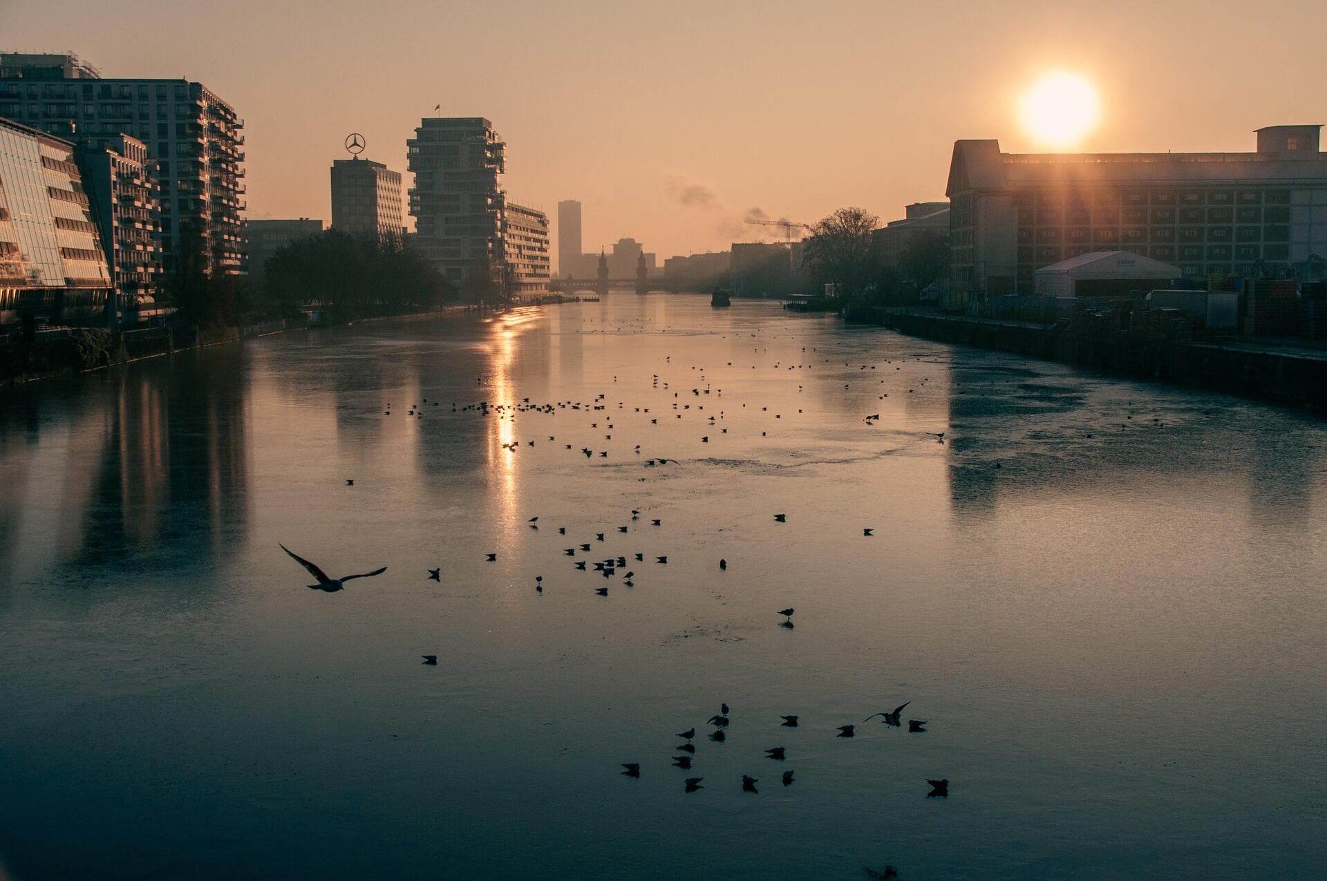 Berlin eFoil Abenteuer