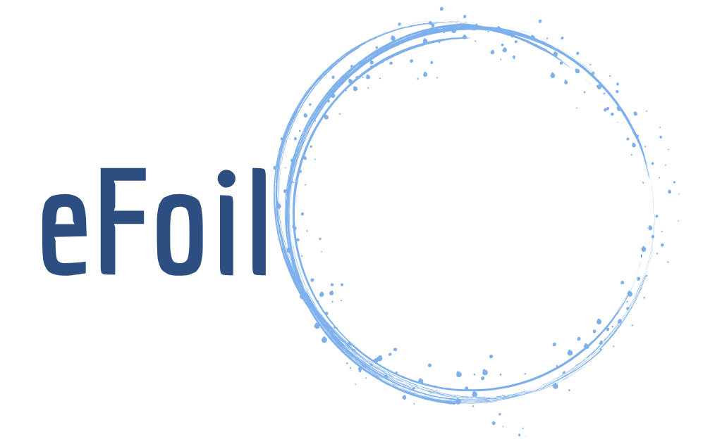 Logotipo de eFoil Riders